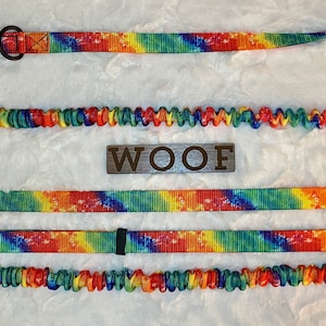Dog Gift, 1” Standard Bungee Dog Leash, Handmade by Critter Harmony, Running Leash, Unique Design, Bright Colors, USA Made, Tandem Add Ons