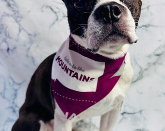 Montana Maroon and Gray Dog or Cat Bandana:  Cotton No-Tie Pet Bandana