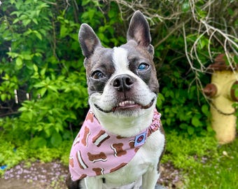 Ice Cream Sandwich Dog Bandana, Elastic Scrunch-Danna Pet Fashion