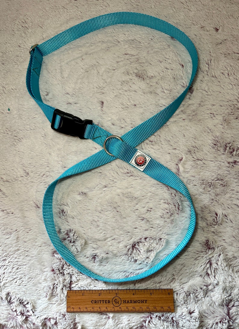 Free Movement Xfinity Dog Harness: Easy-On Design for Happy Pups 1 Wide Polyester Perfect for Medium to Large Dogs, Large Doggos Pup Gift image 7