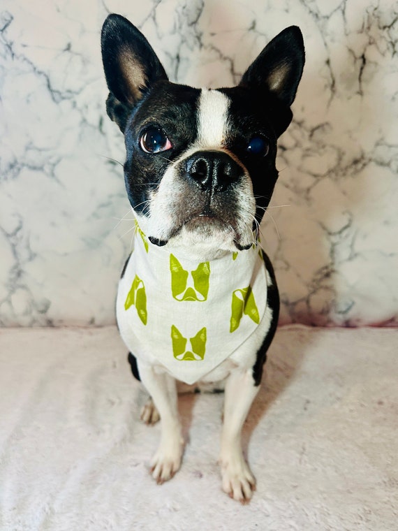 Boston Terrier Pet Bandana Boston Terrier Pet Bandana