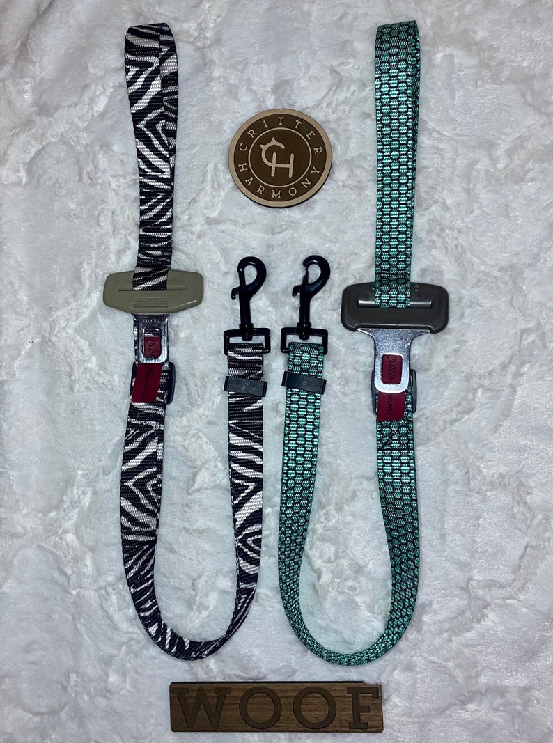 A short adjustable leash (available in a variety of colors in lengths) with a handle, that connects to your dogs harness and then buckles right into the receiver in your vehicle.