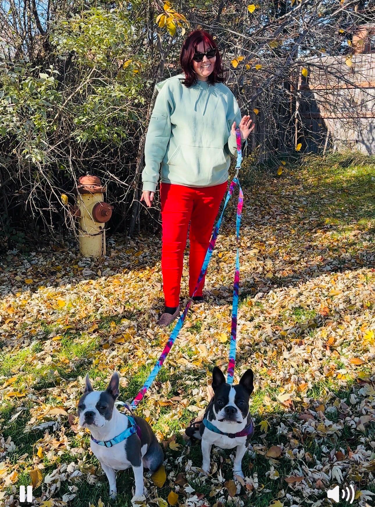1" Tandem Dog Leash System Adjustable No Tangle Double Lead, Hands-Free + - Handle Options