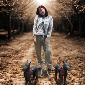 1” Width Tandem Dog Leash System, Hands-Free Double Lead, Tangle-Free Polyester