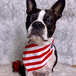 Candy Cane Dog Bandana, Cat Bandana, Unique Custom Elastic Design, Handmade Critter Harmony Reclaimed Fabric, Upcycled Pet Fashion Accessory