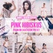 Mobile & Desktop Lightroom Presets Pink Hibiskus / Blogger Presets for Instagram Travel Lifestyle Fashion photography