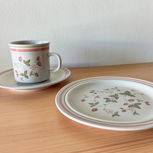 May include: A white ceramic cup, saucer, and oval plate set with a strawberry and floral design. The cup and plate have pink and green trim. The set is on a wooden surface.