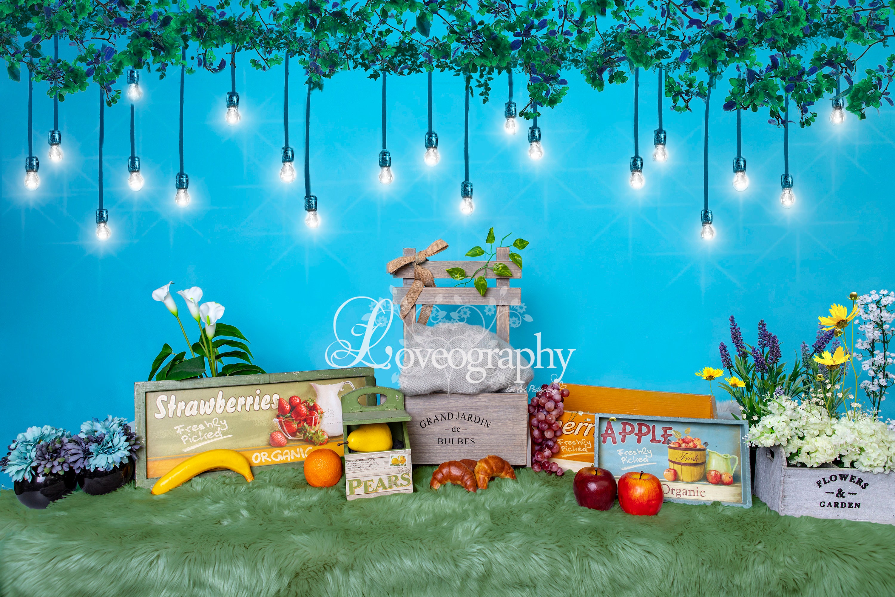 Digital Backdrop Background Garden Studio Fruit Photoshop 