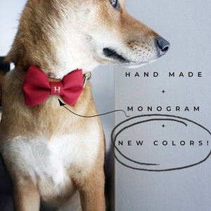 Therapy Dog Bow Collar Flower Only The Best For Your Best Friend Hair Bow Pumpkin Spice Snap-In Dog Bows\u00ae Bow Tie Bow Tie Sailor Bow