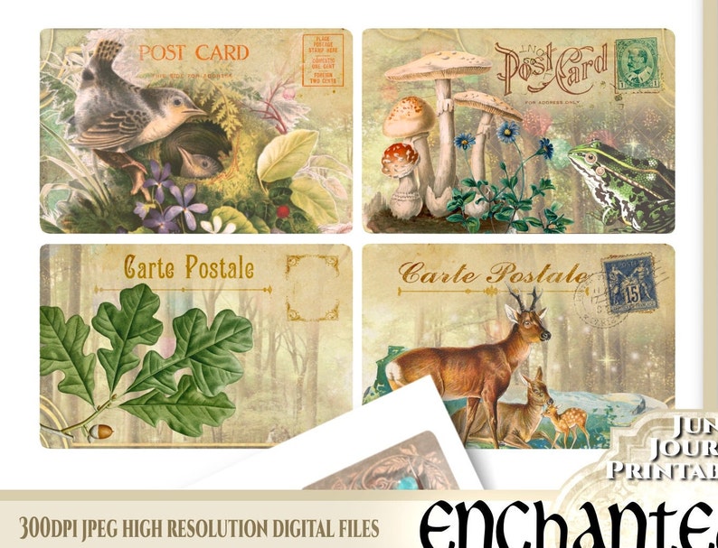 May include: Four vintage postcard designs featuring nature scenes. The top left postcard shows a bird in a nest with a baby bird. The top right postcard shows mushrooms and a frog. The bottom left postcard shows a green oak leaf. The bottom right postcard shows a deer and a fawn.
