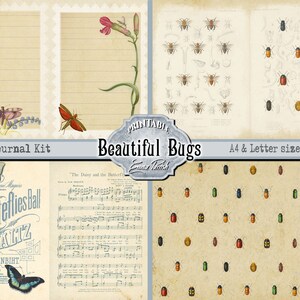 May include: Printable junk journal kit with a vintage aesthetic featuring butterflies, bugs, and floral illustrations. The kit includes lined paper, sheet music, and patterned paper with a bug motif. The text "Beautiful Bugs" is featured on the kit.