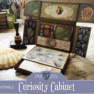 Curiosity Cabinet Printable Journal Kit, Folding, Pop Up, Ernst Haeckel, Vintage Curio, Antique Display Cabinet, Unique Journal Storage Kit