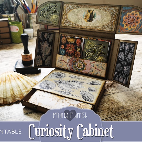 Curiosity Cabinet Printable Journal Kit, Folding, Pop Up, Ernst Haeckel, vintage Curio, Antique Display Cabinet, Unique Journal Storage Kit