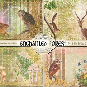 May include: A digital paper pack with four different designs featuring woodland creatures, mushrooms, and a forest background. The designs are in a vintage style with a gold and green color scheme. The text "Enchanted Forest" is included in the image.