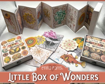 Ernst Haeckel Nature Mini Journal Kit, Science Printable Matchbox Journal, Animal Ephemera, Accordion Fold, Papercrafts, Journaling Supplies