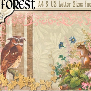 May include: A digital paper pack featuring a brown owl perched on a branch with gold ivy, a brown squirrel sitting on a rock with pink flowers, and a green leafy background with pink swirls. The text "Enchanted Forest" is at the top of the image.