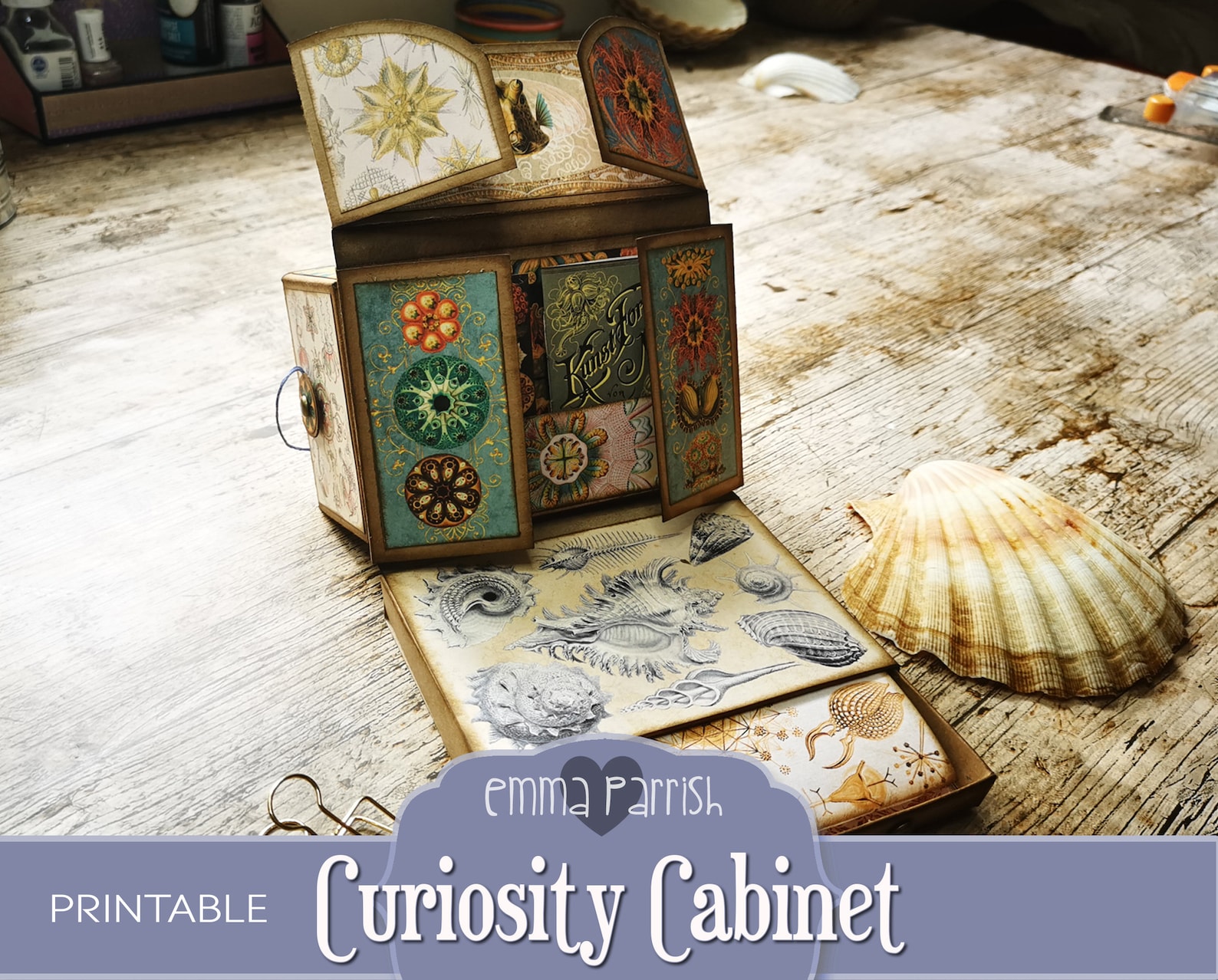 Curiosity Journal Curiosity Cabinet Printable Journal Kit, Folding, Pop Up, Ernst Haeckel ...