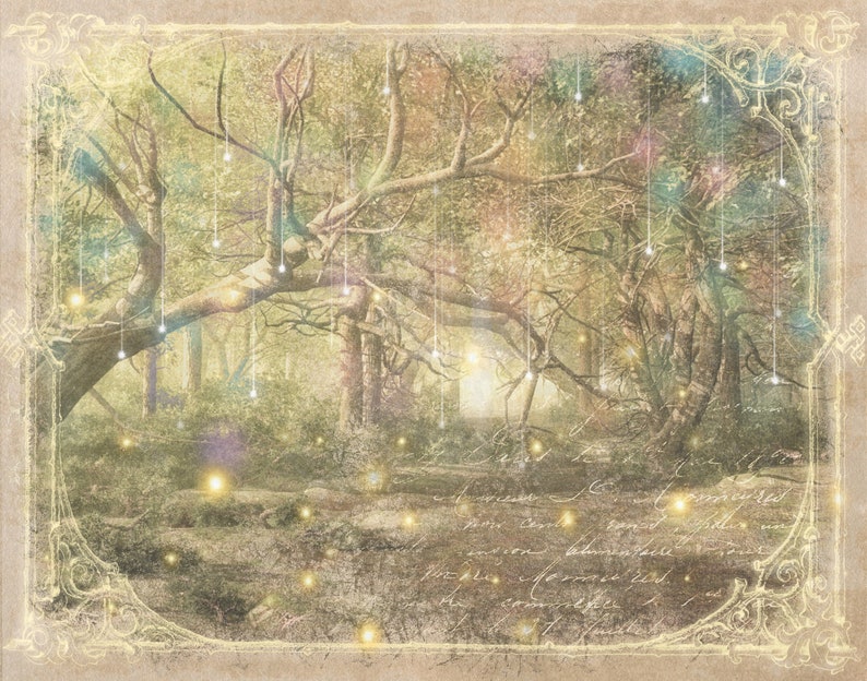 May include: A vintage-style image of a forest with glowing lights hanging from the trees. The image has a soft, dreamy feel and is reminiscent of a fairy tale.