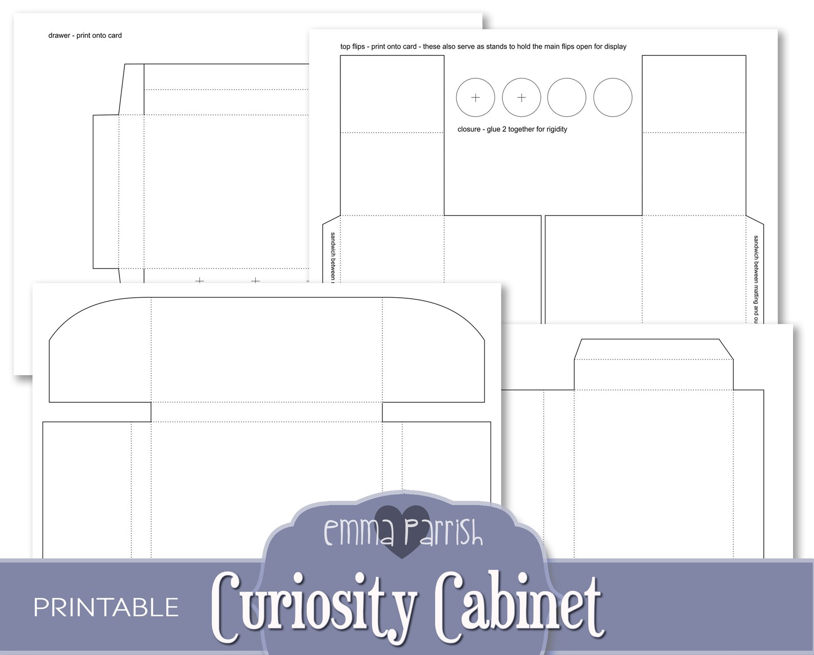 Curiosity Journal Curiosity Cabinet Printable Journal Kit, Folding, Pop Up, Ernst Haeckel ...