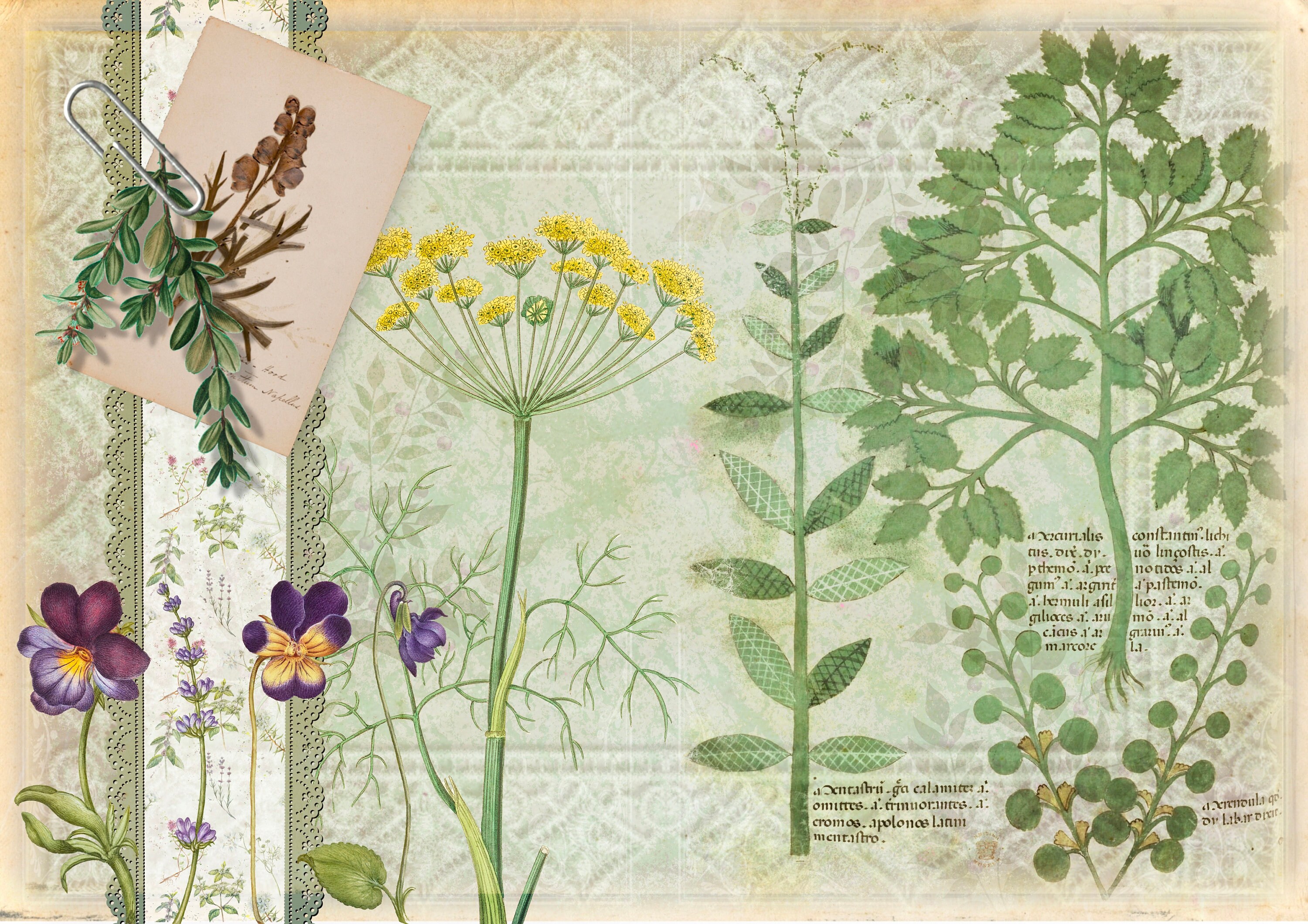 Herbal Botanical Junk Journal Printable Kit Herbal Remedies Etsy UK