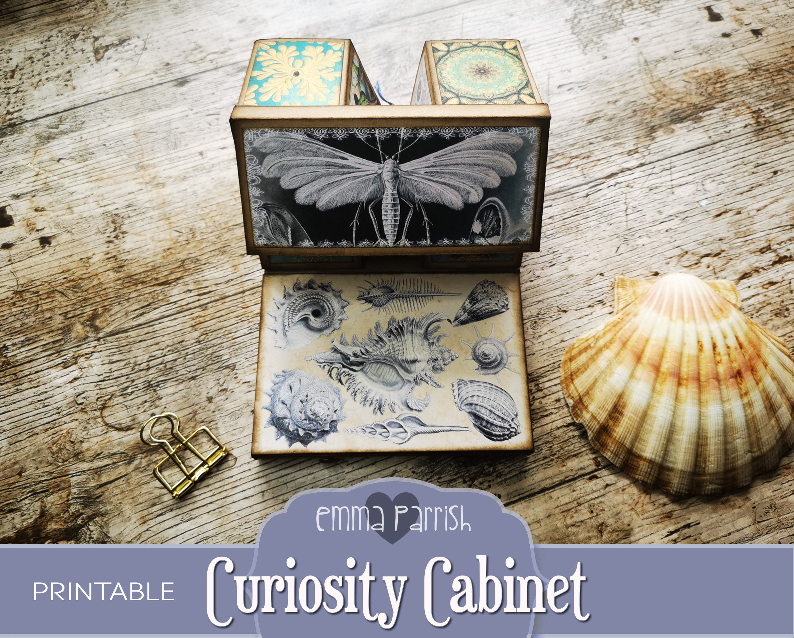 Curiosity Journal Curiosity Cabinet Printable Journal Kit, Folding, Pop Up, Ernst Haeckel ...