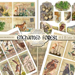 May include: A digital printable kit for scrapbooking or journaling featuring images of a forest, mushrooms, birds, deer, squirrels, owls, butterflies, and vintage postcards. The kit includes A4 and US Letter sizes. The text "Enchanted Forest" is featured in the center of the image.