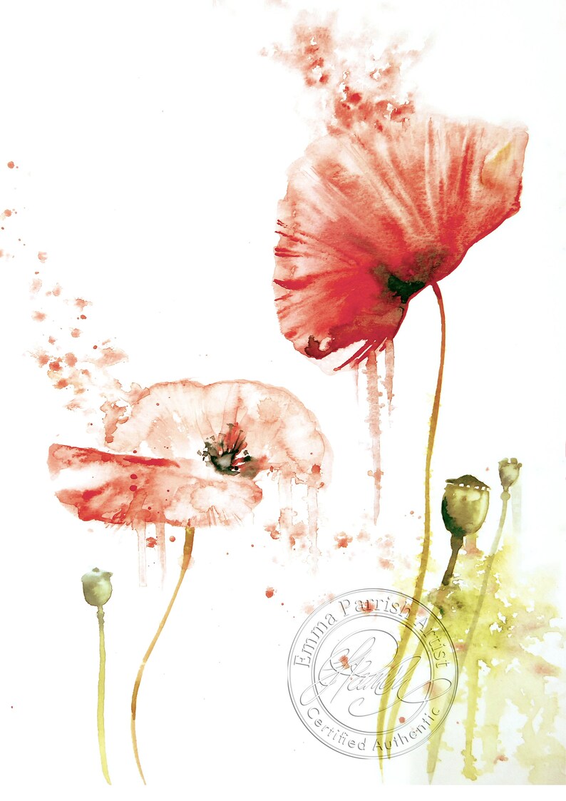 Poppy Study Open Edition Print from an original watercolour painting by Emma Parrish