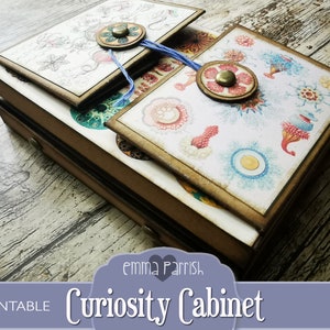Curiosity Journal Curiosity Cabinet Printable Journal Kit, Folding, Pop Up, Ernst Haeckel ...