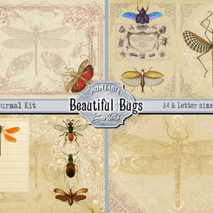 May include: Printable digital paper pack featuring vintage illustrations of insects, including dragonflies, beetles, and a stick insect. The paper pack is titled "Beautiful Bugs" and includes A4 and letter size sheets.