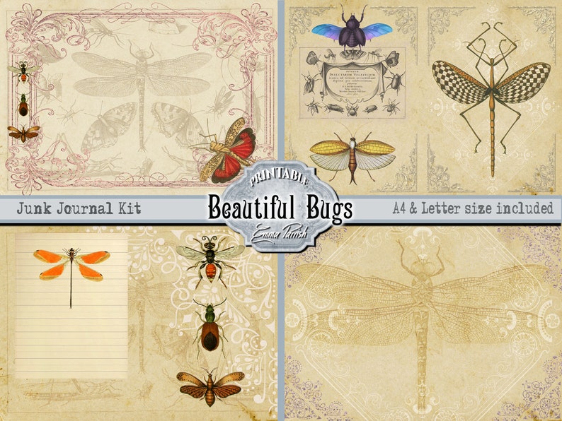 May include: Printable digital paper pack featuring vintage illustrations of insects, including dragonflies, beetles, and a stick insect. The paper pack is titled "Beautiful Bugs" and includes A4 and letter size sheets.