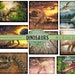 Dinosaur Junk Journal Printable Kit , Boys Dinosaur Book, Kids, Boys ...