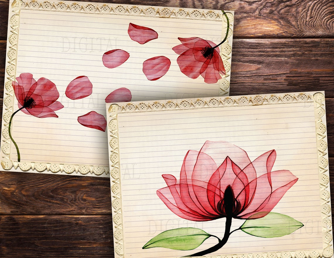 Printable Lined Paper Download 16 Poppy Flower Lined &amp; Blank - Etsy