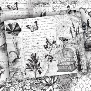 Black White Paper, Ink Saver Printable Stamp Pages,  Grunge Botanical Script Journal, Bird Cages, PDF