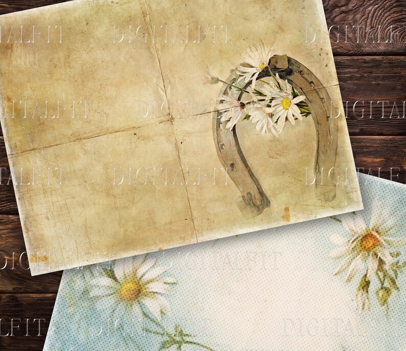 May include: A vintage-style image featuring a horseshoe with white daisies, on a textured, aged paper background. The image is perfect for crafting projects, scrapbooking, or adding a rustic touch to your designs.