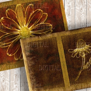 May include: Two vintage-style frames with a brown background and gold accents. Each frame features a golden outline of a daisy flower.