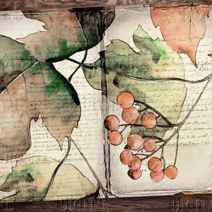 May include: A watercolor painting of a book with leaves and berries. The book is open and the pages are filled with handwritten text. The leaves are green and brown, and the berries are red.