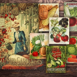 Cartes de catalogue de graines numériques, 16 pages éphémères, journaux imprimables de journal indésirable de légumes, PDF