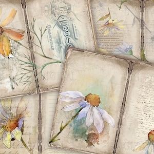 Daisy Journal Kit, 6 Digital Junk Journal Pages, 11 x 8.5, Printable Journal Ephemera, Paper Craft
