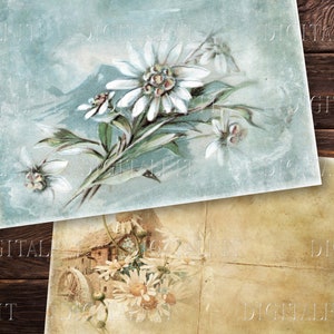 May include: Two vintage postcards with floral designs. The top postcard features a bouquet of white flowers with green leaves on a light blue background. The bottom postcard features a bouquet of white flowers with green leaves on a beige background.