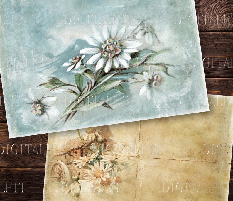 May include: Two vintage postcards with floral designs. The top postcard features a bouquet of white flowers with green leaves on a light blue background. The bottom postcard features a bouquet of white flowers with green leaves on a beige background.