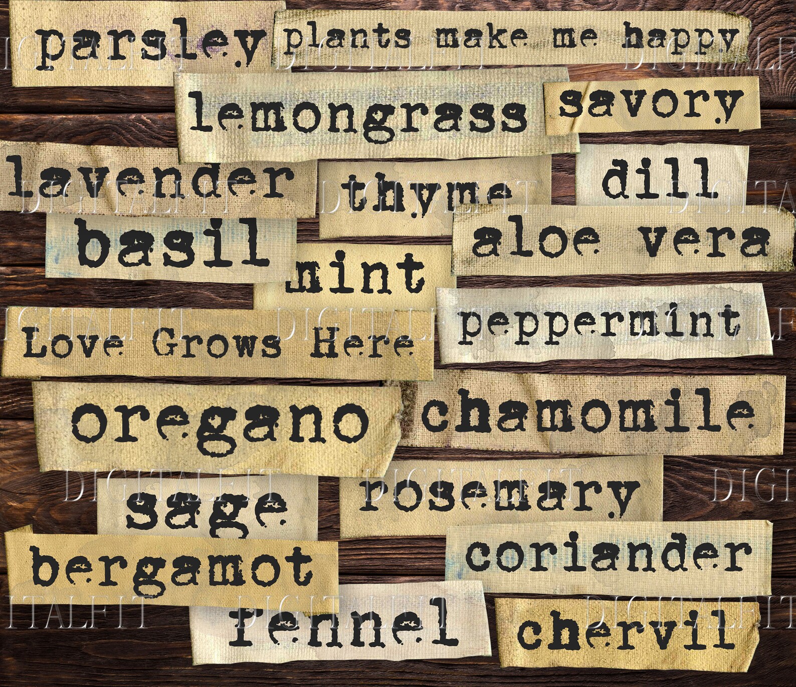Herbs Words & Phrases 20 Digital Herbs Words Instant Etsy
