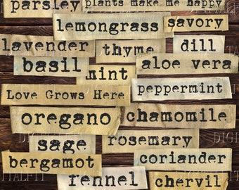 Herbs Words & Phrases, 20 Digital Herbs Words, Instant Download, PNG, PDF