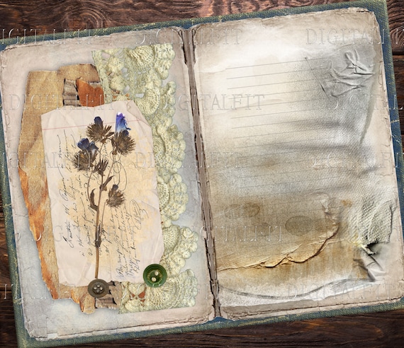 ヴィンテージダスティペーパー、デジタルジャンクジャーナルページ、11