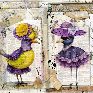 Pássaros caprichosos, 9 pássaros vestidos, páginas de diário meio lixo, 5,5" x 8,5"