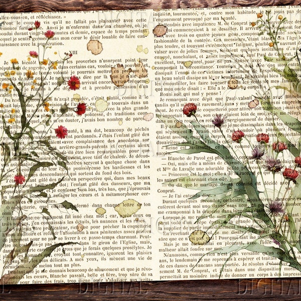 8 Wild Flowers Collage Pages, Wildflower Bundle, Wildflower Painting,  Junk Journal Kit, PDF