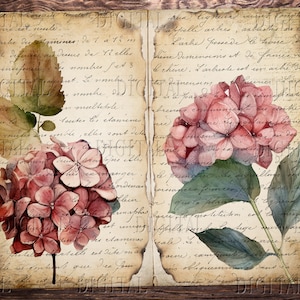 Ortensia, diario vintage Wisteria, 12 pagine di diario Flower Junk, carte ortensia, PDF