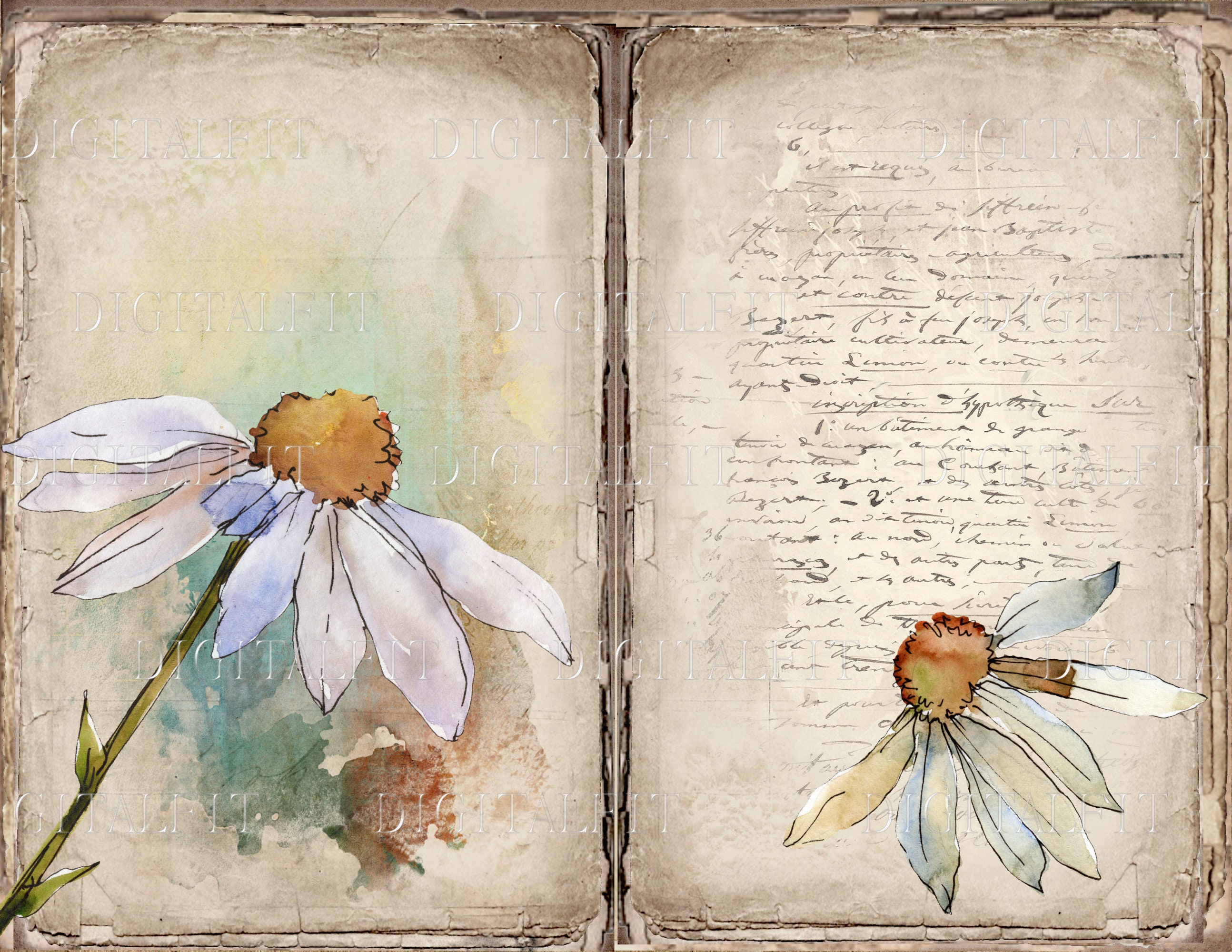 Vintage Daisy Journal Kit, 6 Digital Junk Journal Pages, 11 x 8.5, Pr…