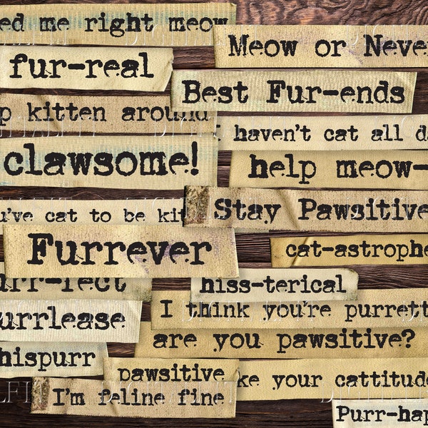 Cats Vocabulary Words & Funny Phrases, Cat Lover Gift, Cat Junk Journal, Scrapbooking, PNG, JPG