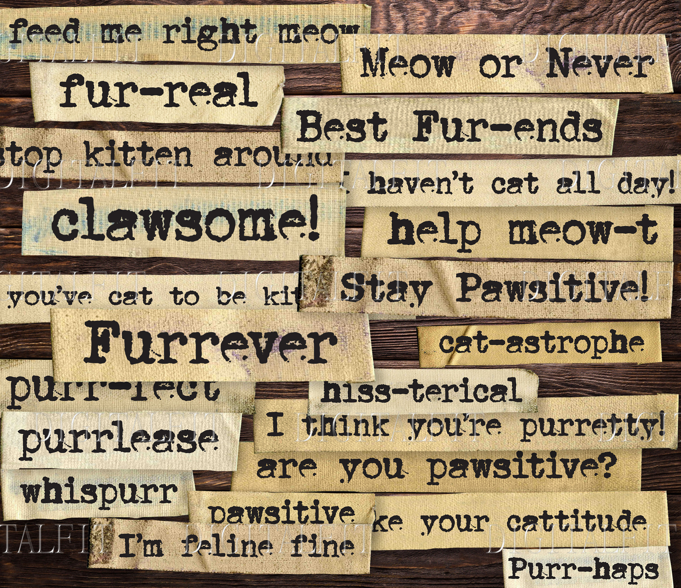 Love Words For Cats Love Words For Cats