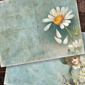 May include: Two vintage-style images with a blue background. The top image features a white daisy with a yellow center and petals falling from the flower. The bottom image features a young girl with long brown hair wearing a blue dress and holding a bouquet of white daisies.
